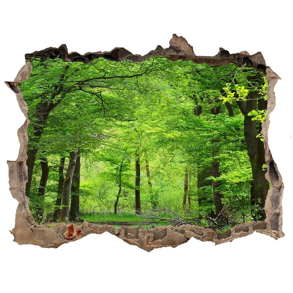 Autocollant mural trou Forêt verte dans un trou dans le mur