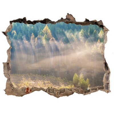 Autocollant à effet 3d trou Paysage forestier derrière le mur