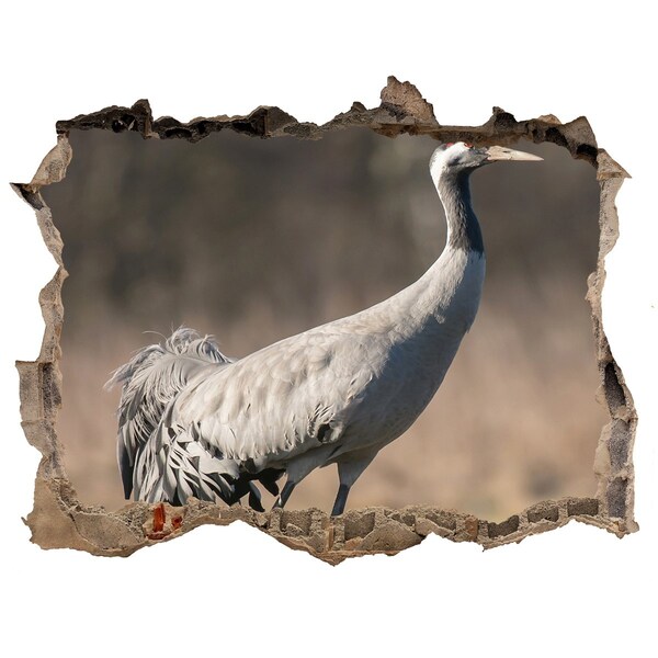 Autocollant mural trou Grue dans son habitat naturel
