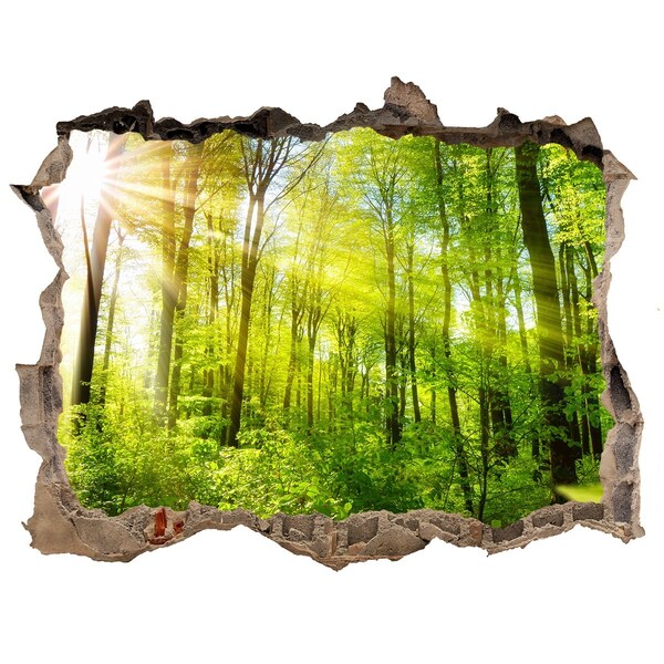 Sticker mural effet trou Forêt verte baignée de soleil
