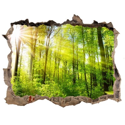 Sticker mural effet trou Forêt rayons du soleil pierre