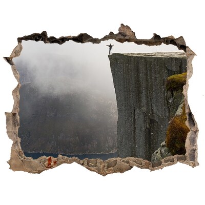 Autocollant à effet 3d trou Vue depuis la falaise surplombant le fjord