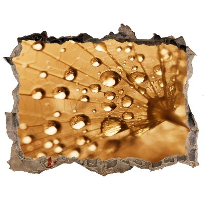 Sticker mural effet trou Des gouttes sur une feuille