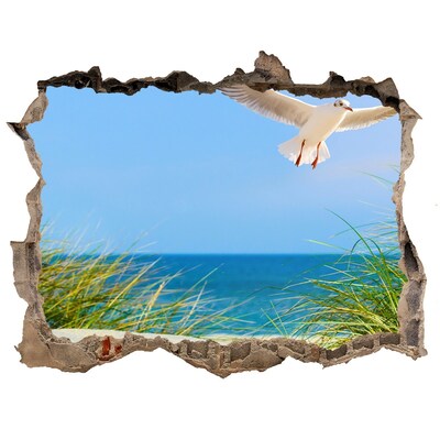 Sticker mural effet trou Seagull sur la plage pierre