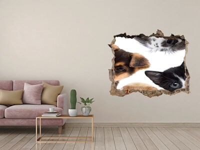 Sticker mural effet trou Voyeurs d'animaux