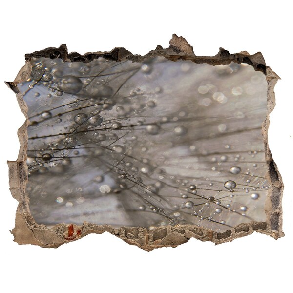 Autocollant mural trou Gouttes d'eau sur le verre