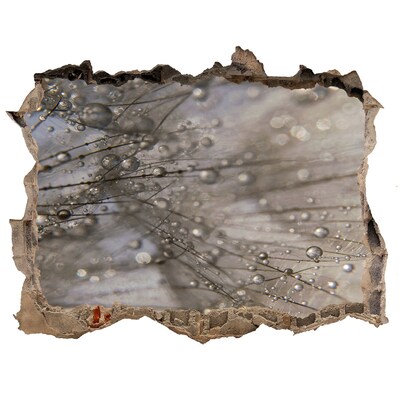 Autocollant mural trou Gouttes d'eau sur le verre