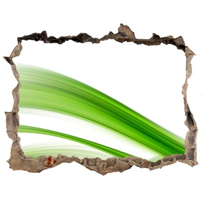 Autocollant à effet 3d trou Prairie verte à travers un trou dans le mur