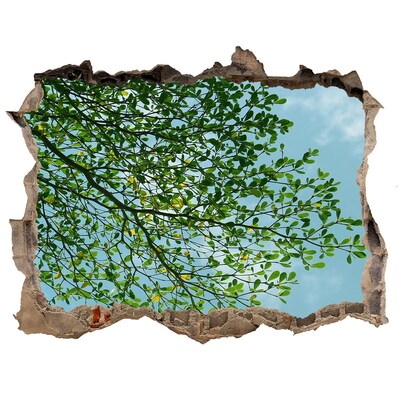 Autocollant à effet 3d trou Feuilles vertes sous un ciel bleu