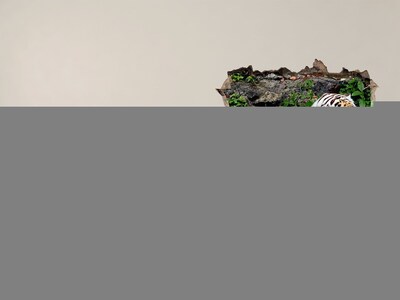 Autocollant à effet 3d trou Le tigre dans son habitat naturel