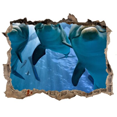 Sticker trou dans le mur Monde sous-marin avec des dauphins