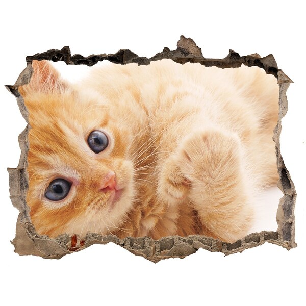 Autocollant mural trou Chat dans un trou dans le mur