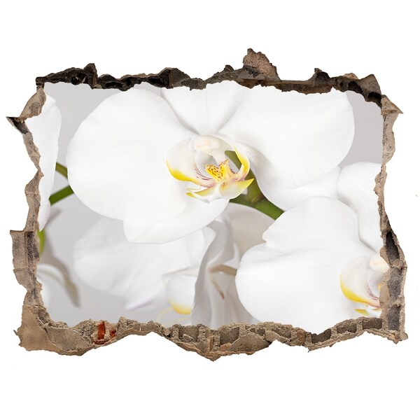 Autocollant mural trou Orchidée blanc pierre