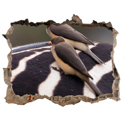 Sticker mural effet trou Des oiseaux sur le dos d'un zèbre