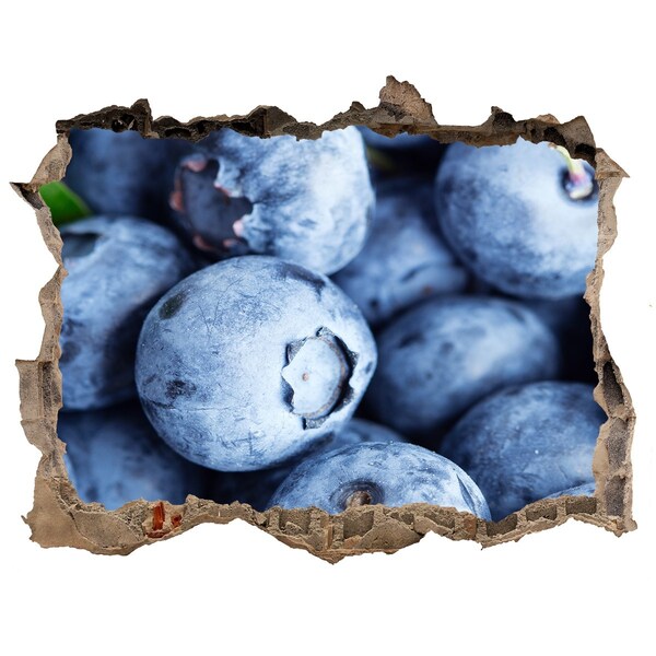 Autocollant à effet 3d trou Des baies dans un trou en béton