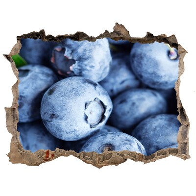 Autocollant à effet 3d trou Des baies dans un trou en béton