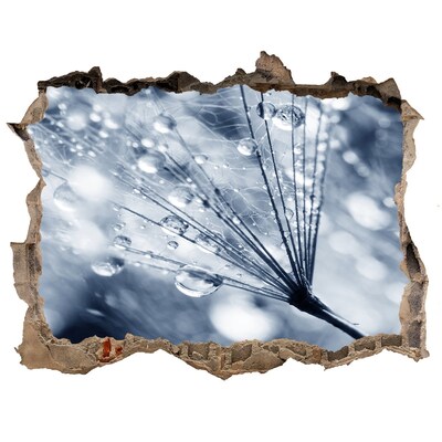 Sticker mural effet trou Des gouttes de rosée tombent sur un pissenlit