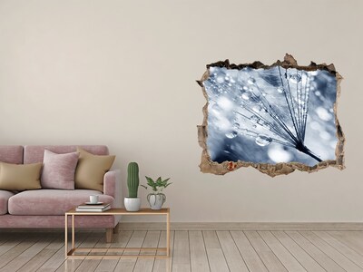 Sticker mural effet trou Des gouttes de rosée tombent sur un pissenlit