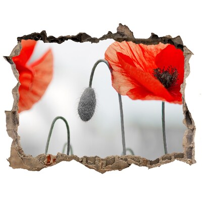 Autocollant mural trou Des fleurs dans un trou dans le mur