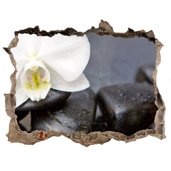 Sticker mural effet trou Fleurs et pierres dans le spa