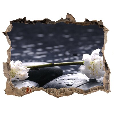 Autocollant mural trou Fleurs sur pierres