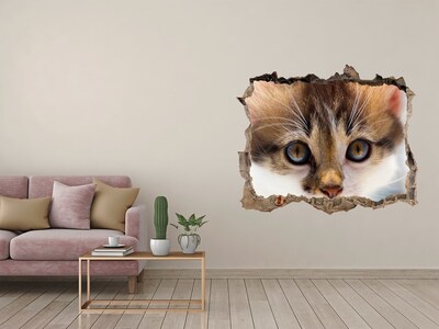 Sticker mural effet trou Chat dans un trou dans le mur