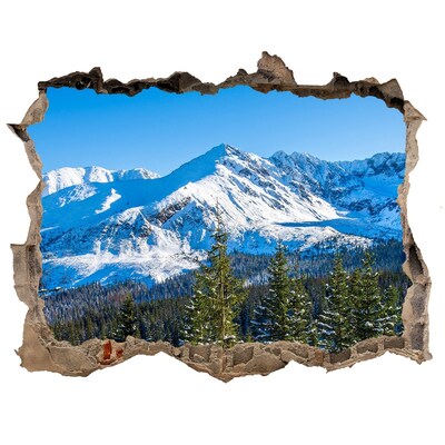Sticker mural effet trou paysage de montagne hivernal
