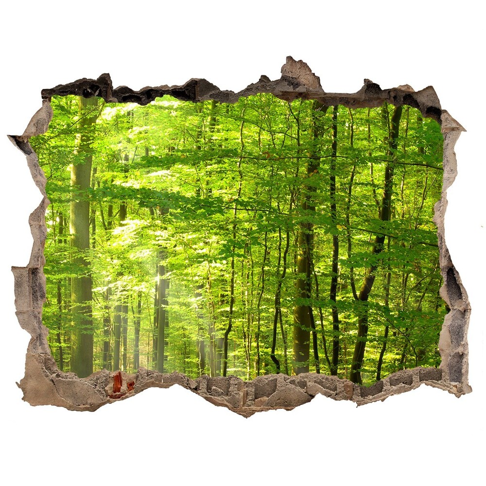 Autocollant à effet 3d trou Forêt à feuilles caduques pierre