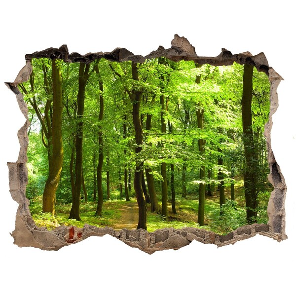 Autocollant à effet 3d trou Forêt verte sous les rayons du soleil