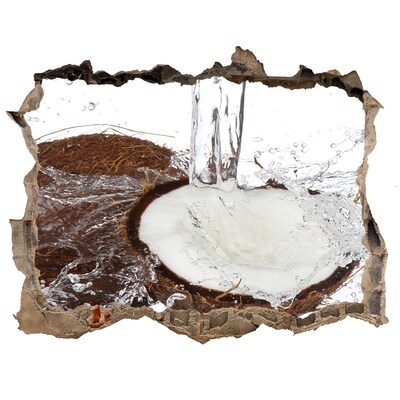 Autocollant mural trou Noix de coco dans un ruisseau d'eau