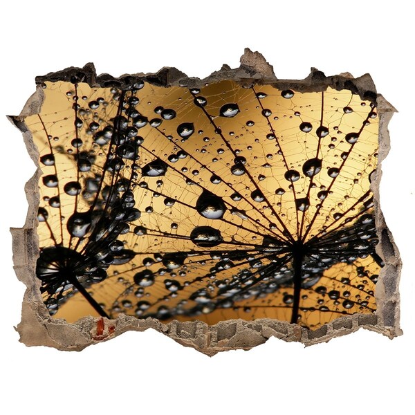 Sticker trou dans le mur Des gouttes sur les feuilles