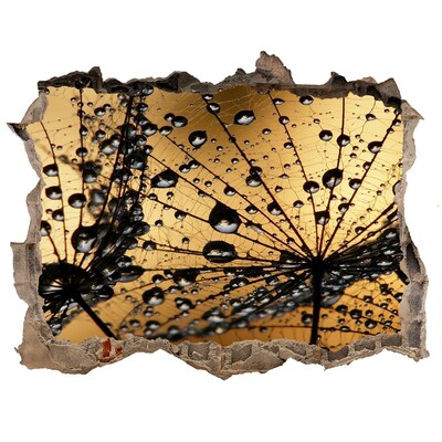 Sticker trou dans le mur Des gouttes sur les feuilles