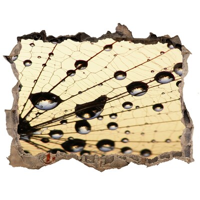 Sticker mural effet trou Des gouttes d'eau sur une aile de papillon