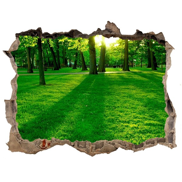 Sticker trou dans le mur Parc verdoyant au soleil