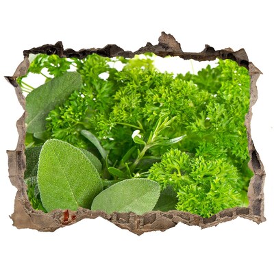 Autocollant à effet 3d trou Une oasis de verdure en béton