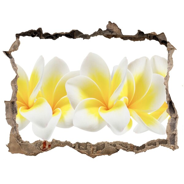 Sticker trou dans le mur Plumeria pierre