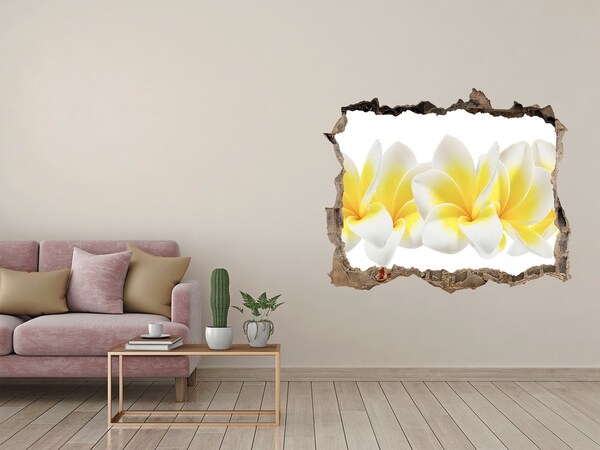 Sticker trou dans le mur Plumeria pierre