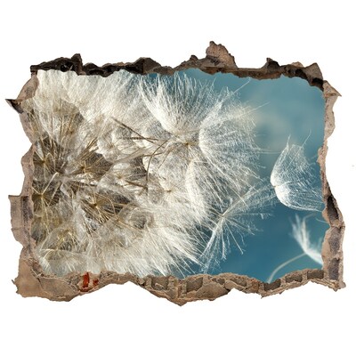 Sticker trou dans le mur Des pissenlits se détachant sur le ciel