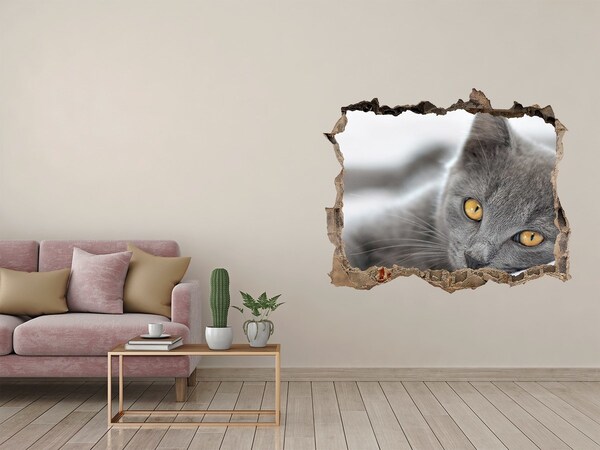 Sticker mural effet trou Chat gris dans un trou dans le mur