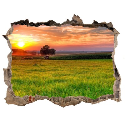 Sticker mural effet trou Coucher de soleil sur la prairie