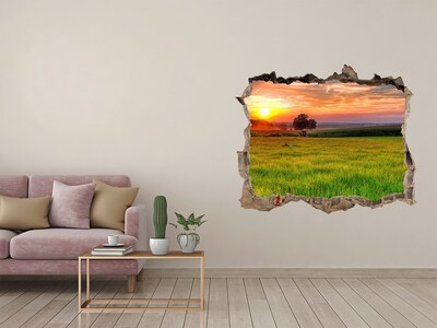 Sticker mural effet trou Prairie au coucher du soleil pierre