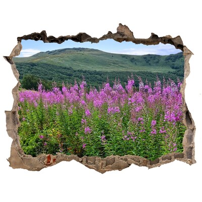 Autocollant à effet 3d trou Paysage floral dans les montagnes