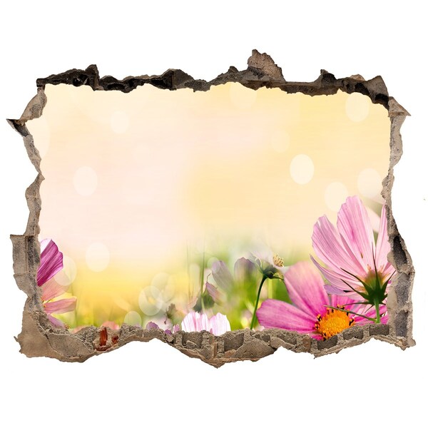 Sticker mural effet trou Les coquelicots rouges fleurs des champs pierre
