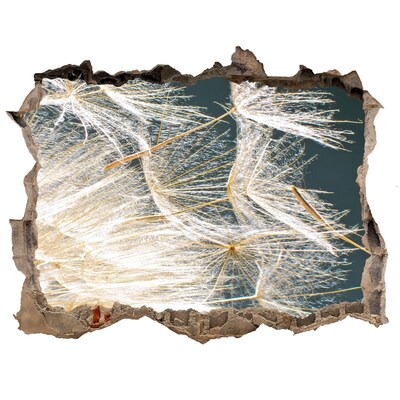 Autocollant mural trou Un paysage floral derrière le trou