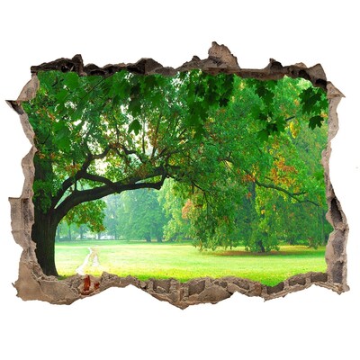 Sticker mural effet trou Parc verdoyant au soleil