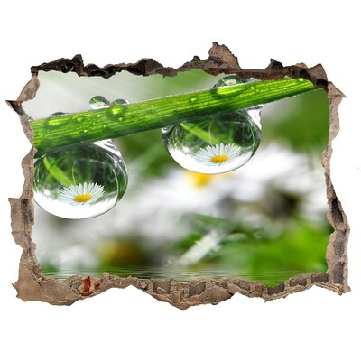 Sticker trou dans le mur Oasis florale avec des gouttes d'eau