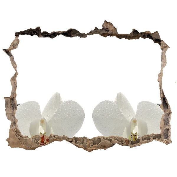 Sticker trou dans le mur Fleurs en béton