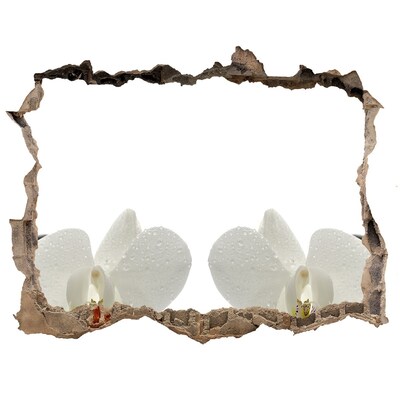 Sticker trou dans le mur Fleurs en béton