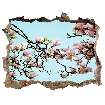 Sticker mural effet trou Des magnolias printaniers dans un ciel bleu