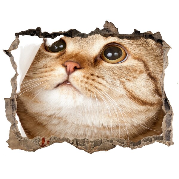 Autocollant à effet 3d trou Chat dans un trou dans le mur
